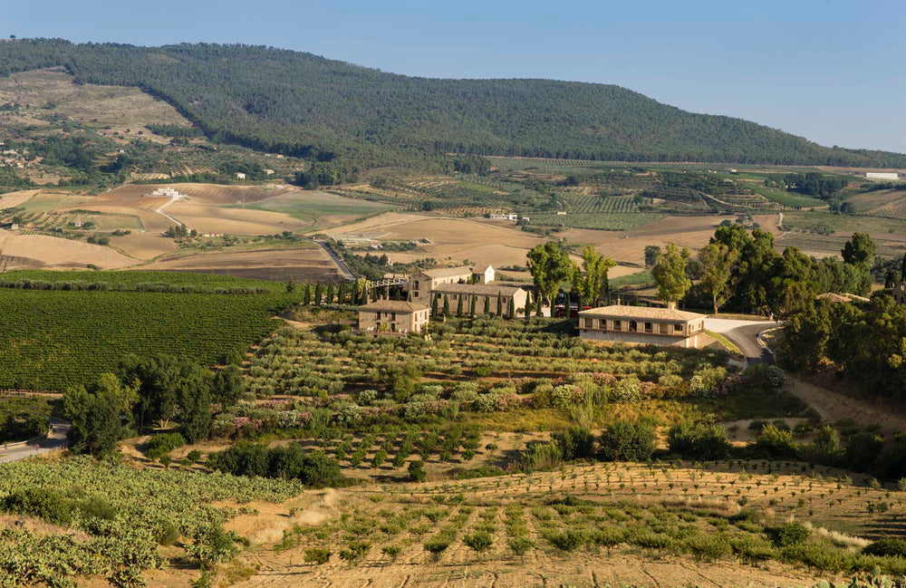 Da un antico monastero abbandonato, ad una Tenuta d'eccellenza